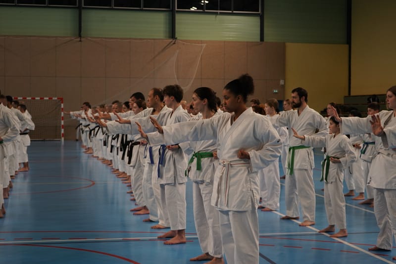 Stage Fumitoshi KANAZAWA le 13/02/2026 à la Ferté Saint Aubin