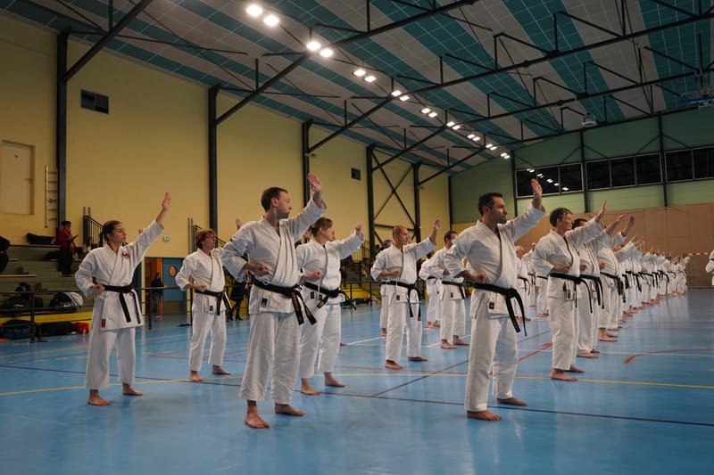 Stage Fumitoshi KANAZAWA le 13/02/2026 à la Ferté Saint Aubin