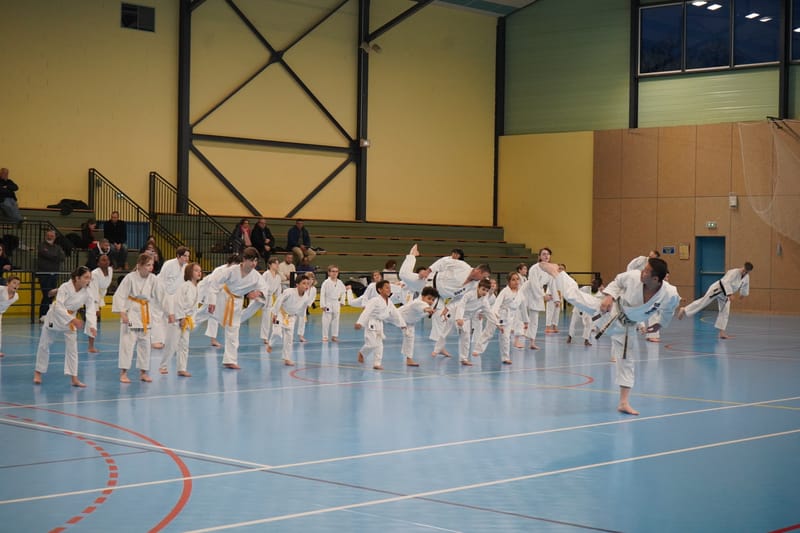 Stage Fumitoshi KANAZAWA le 13/02/2026 à la Ferté Saint Aubin