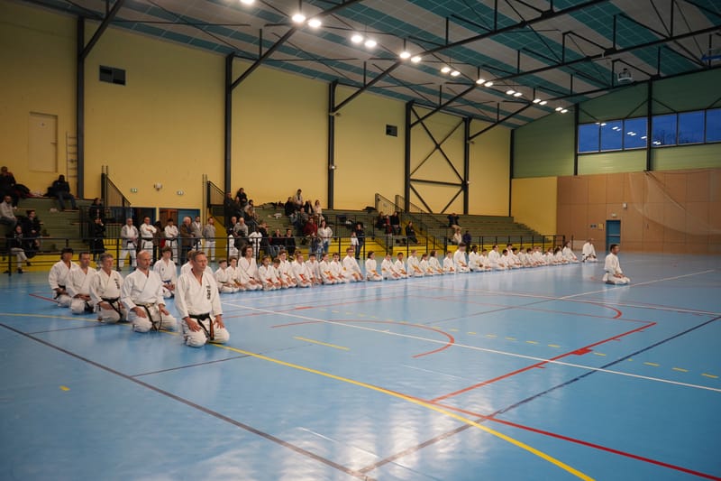 Stage Fumitoshi KANAZAWA le 13/02/2026 à la Ferté Saint Aubin