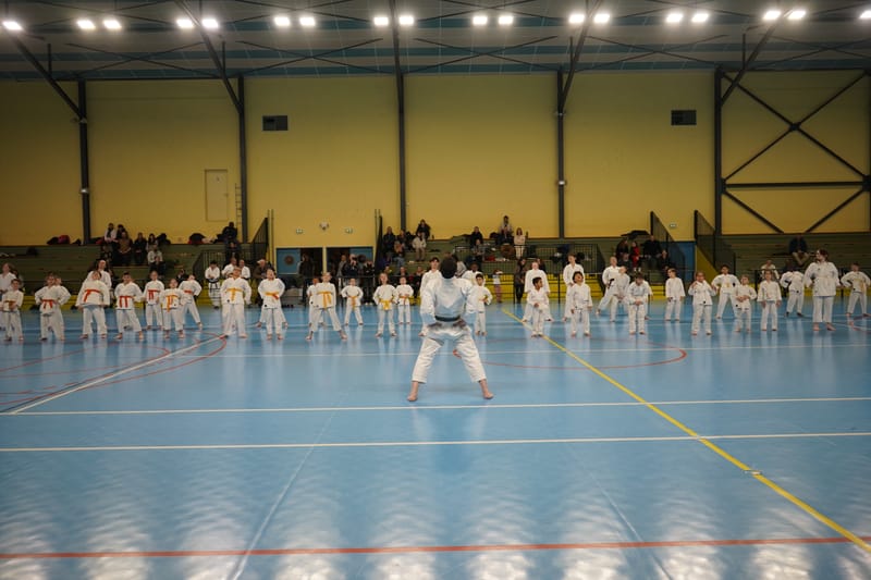 Stage Fumitoshi KANAZAWA le 13/02/2026 à la Ferté Saint Aubin