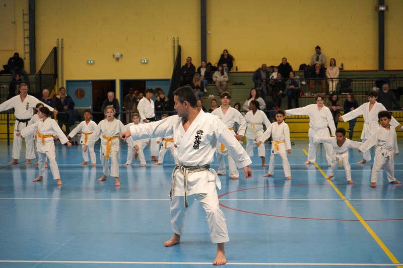 Stage Fumitoshi KANAZAWA le 13/02/2026 à la Ferté Saint Aubin