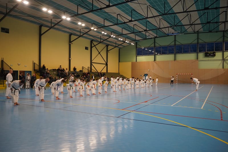 Stage Fumitoshi KANAZAWA le 13/02/2026 à la Ferté Saint Aubin