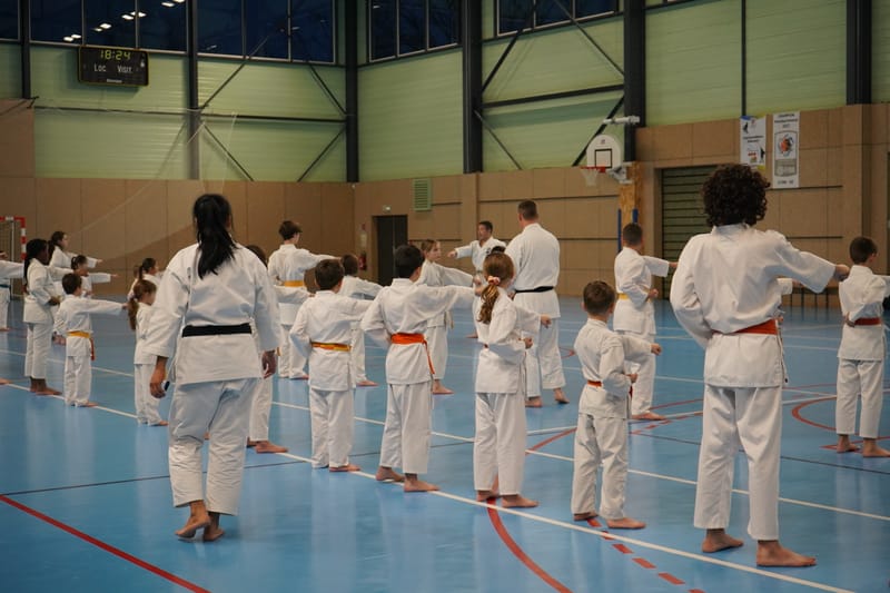 Stage Fumitoshi KANAZAWA le 13/02/2026 à la Ferté Saint Aubin