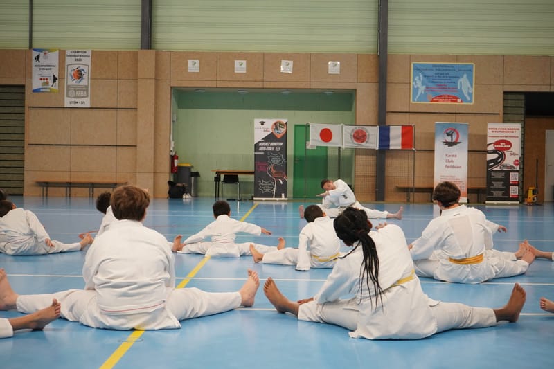 Stage Fumitoshi KANAZAWA le 13/02/2026 à la Ferté Saint Aubin