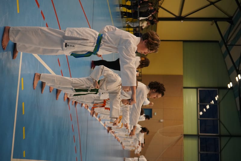 Stage Fumitoshi KANAZAWA le 13/02/2026 à la Ferté Saint Aubin