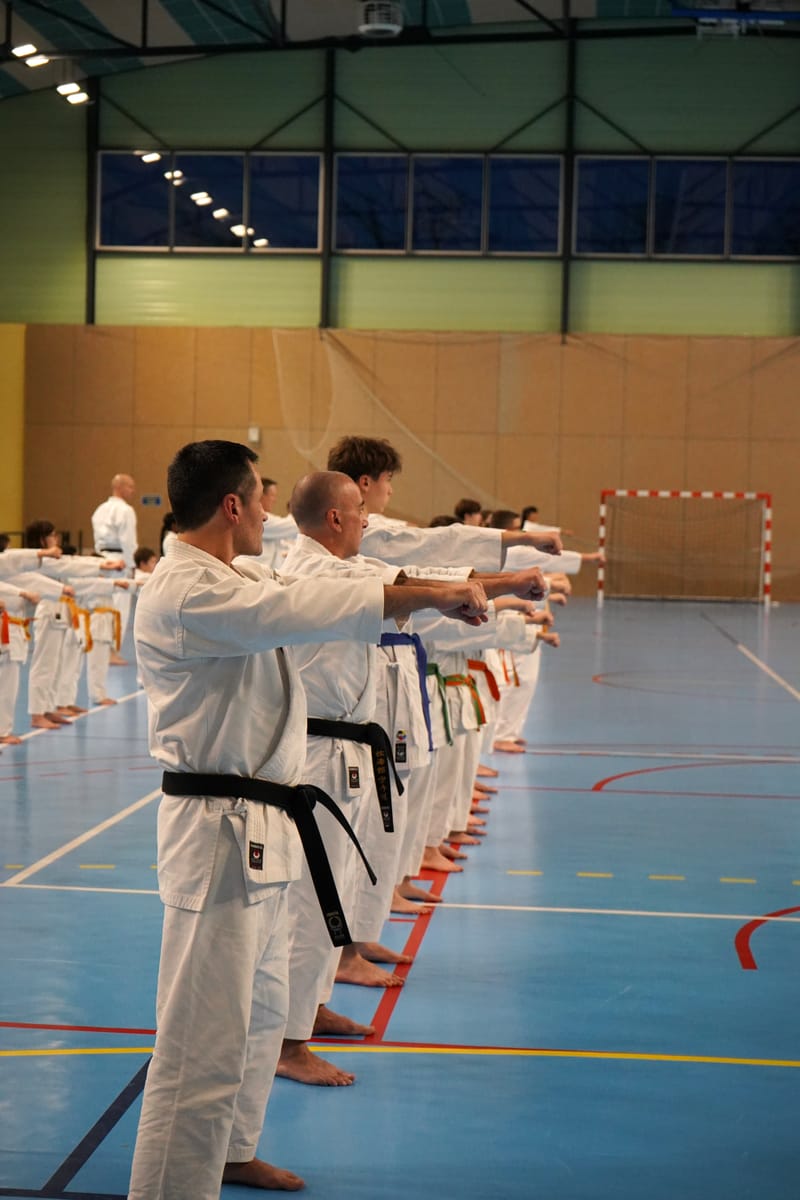 Stage Fumitoshi KANAZAWA le 13/02/2026 à la Ferté Saint Aubin