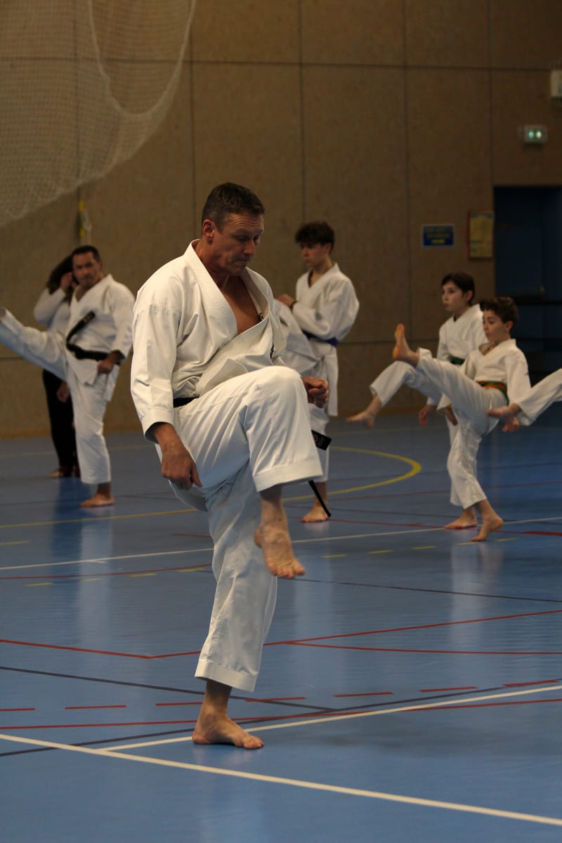 Stage Fumitoshi KANAZAWA le 13/02/2026 à la Ferté Saint Aubin