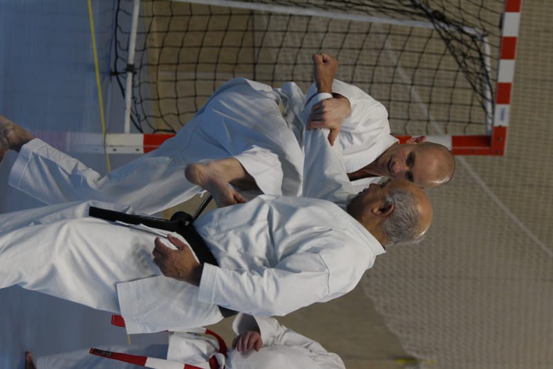 Stage Fumitoshi KANAZAWA le 13/02/2026 à la Ferté Saint Aubin