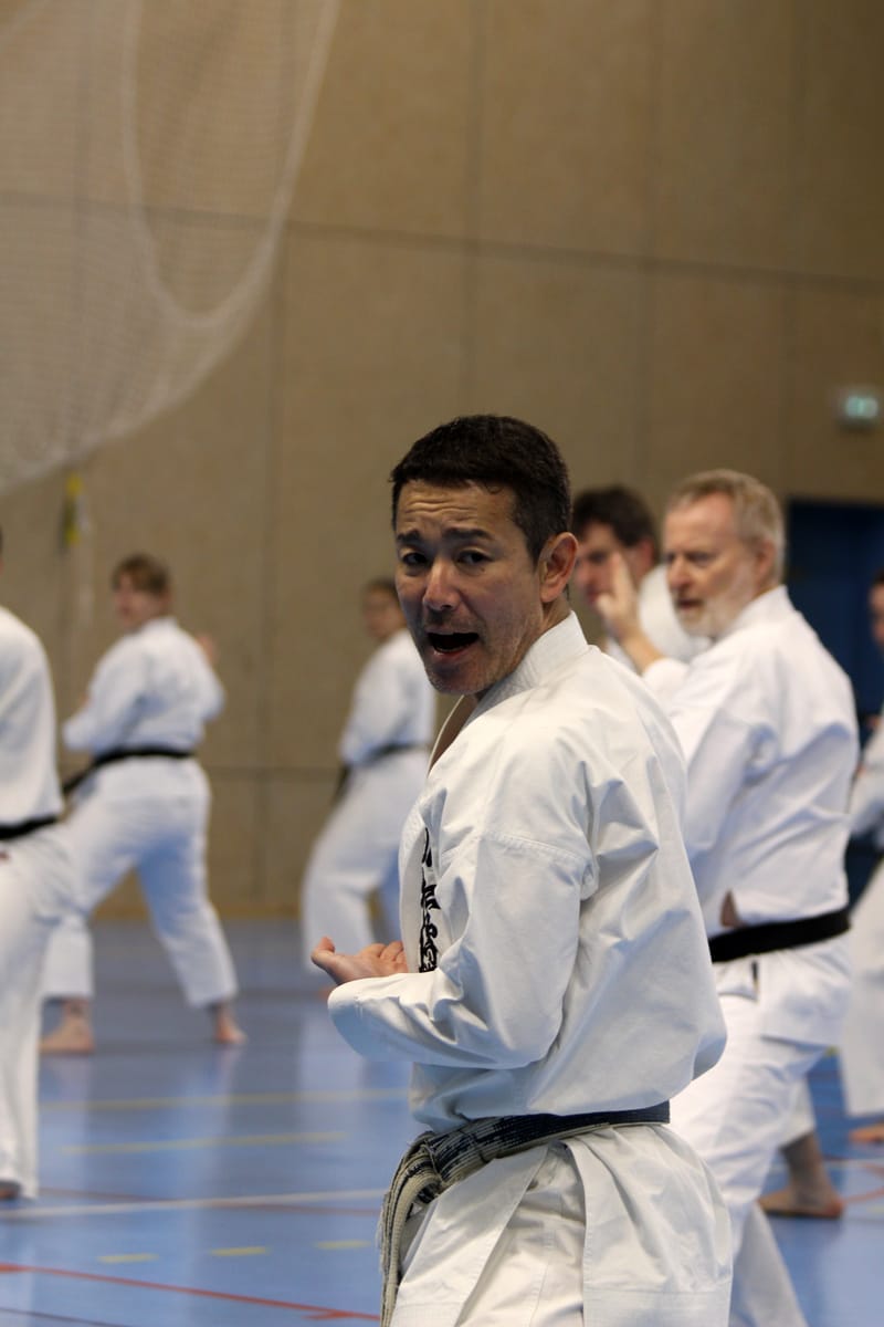 Stage Fumitoshi KANAZAWA le 13/02/2026 à la Ferté Saint Aubin