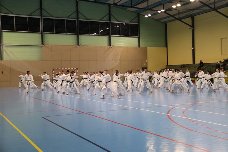 Stage Fumitoshi KANAZAWA le 13/02/2026 à la Ferté Saint Aubin