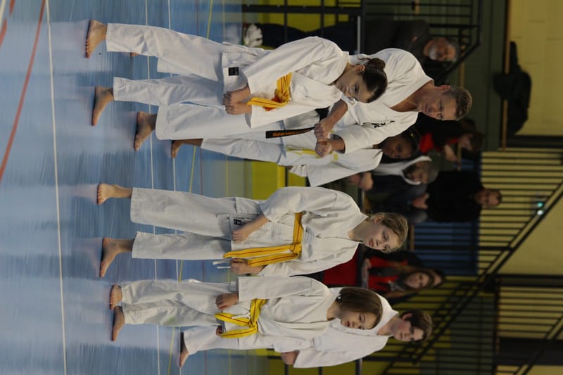 Stage Fumitoshi KANAZAWA le 13/02/2026 à la Ferté Saint Aubin