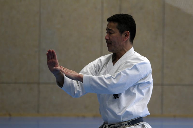 Stage Fumitoshi KANAZAWA le 13/02/2026 à la Ferté Saint Aubin