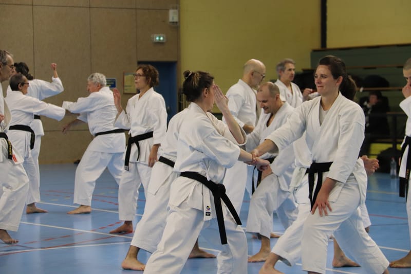 Stage Fumitoshi KANAZAWA le 13/02/2026 à la Ferté Saint Aubin