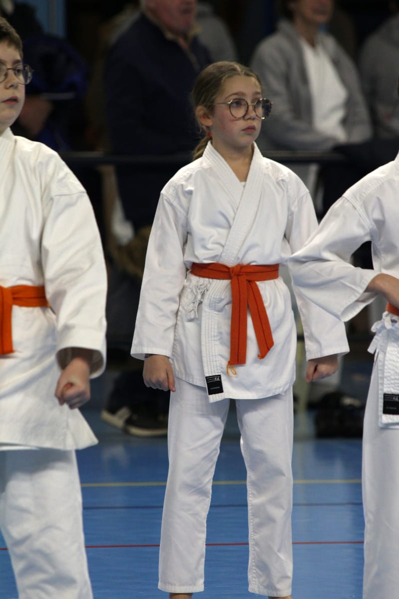 Stage Fumitoshi KANAZAWA le 13/02/2026 à la Ferté Saint Aubin