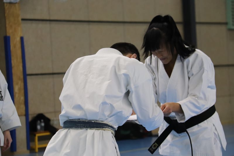 Stage Fumitoshi KANAZAWA le 13/02/2026 à la Ferté Saint Aubin