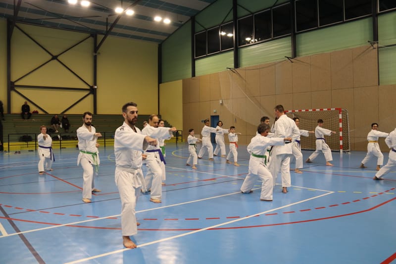 Stage Fumitoshi KANAZAWA le 13/02/2026 à la Ferté Saint Aubin