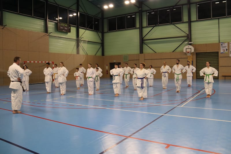 Stage Fumitoshi KANAZAWA le 13/02/2026 à la Ferté Saint Aubin