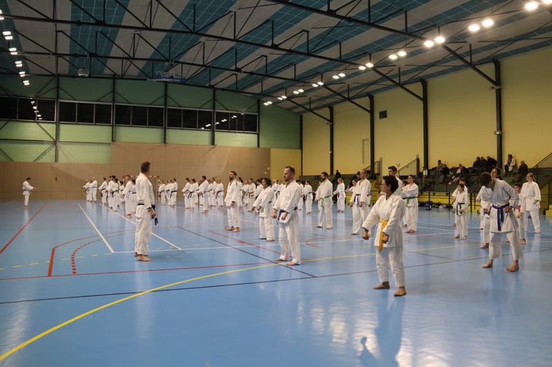 Stage Fumitoshi KANAZAWA le 13/02/2026 à la Ferté Saint Aubin