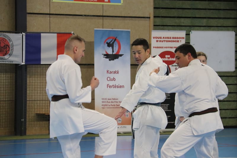 Stage Fumitoshi KANAZAWA le 13/02/2026 à la Ferté Saint Aubin