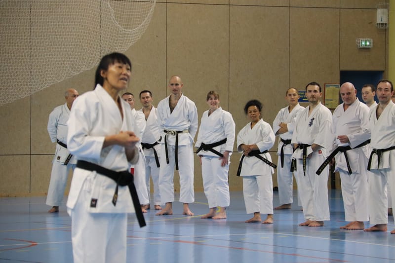 Stage Fumitoshi KANAZAWA le 13/02/2026 à la Ferté Saint Aubin