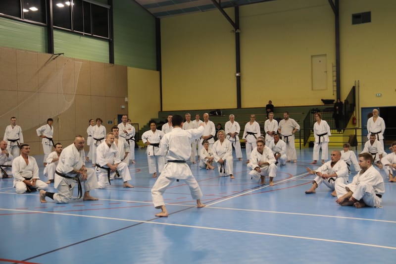 Stage Fumitoshi KANAZAWA le 13/02/2026 à la Ferté Saint Aubin