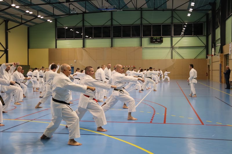 Stage Fumitoshi KANAZAWA le 13/02/2026 à la Ferté Saint Aubin