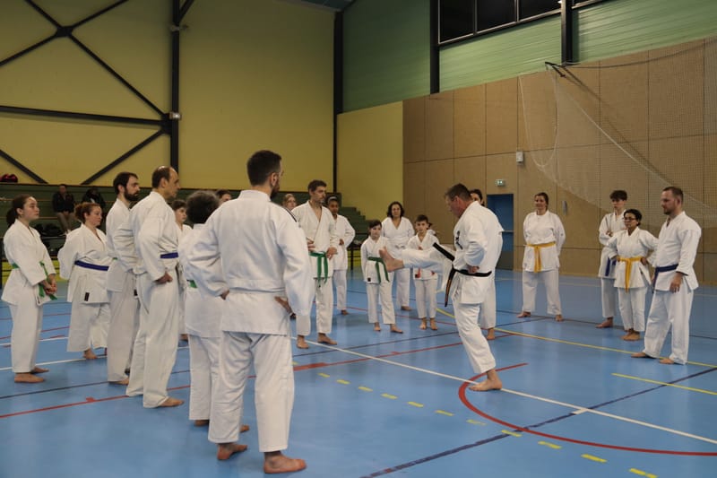 Stage Fumitoshi KANAZAWA le 13/02/2026 à la Ferté Saint Aubin