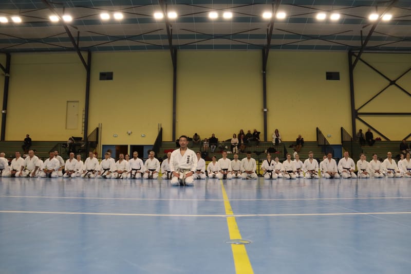 Stage Fumitoshi KANAZAWA le 13/02/2026 à la Ferté Saint Aubin