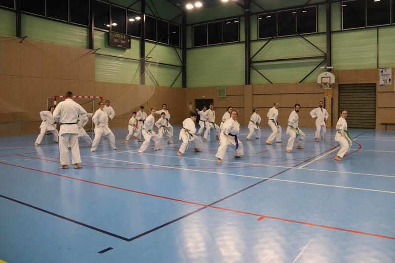 Stage Fumitoshi KANAZAWA le 13/02/2026 à la Ferté Saint Aubin