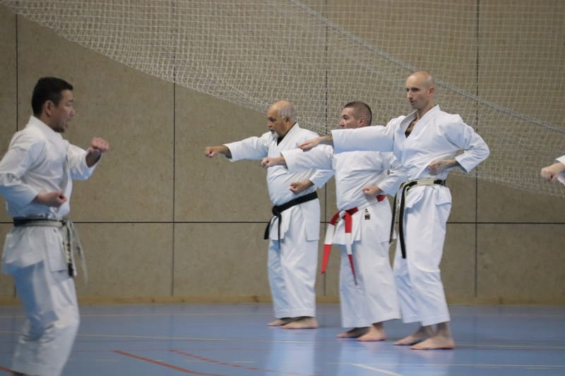 Stage Fumitoshi KANAZAWA le 13/02/2026 à la Ferté Saint Aubin