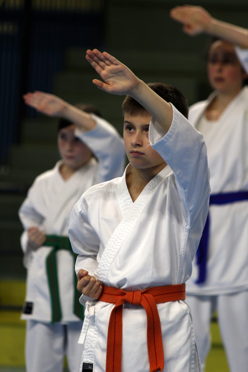 Stage Fumitoshi KANAZAWA le 13/02/2026 à la Ferté Saint Aubin