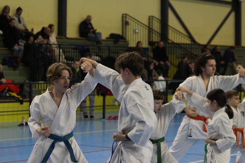 Stage Fumitoshi KANAZAWA le 13/02/2026 à la Ferté Saint Aubin