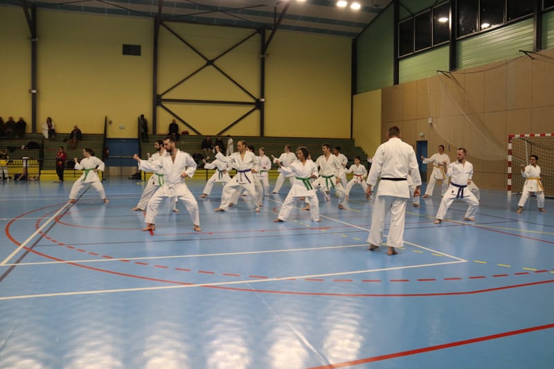 Stage Fumitoshi KANAZAWA le 13/02/2026 à la Ferté Saint Aubin