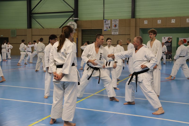 Stage Fumitoshi KANAZAWA le 13/02/2026 à la Ferté Saint Aubin