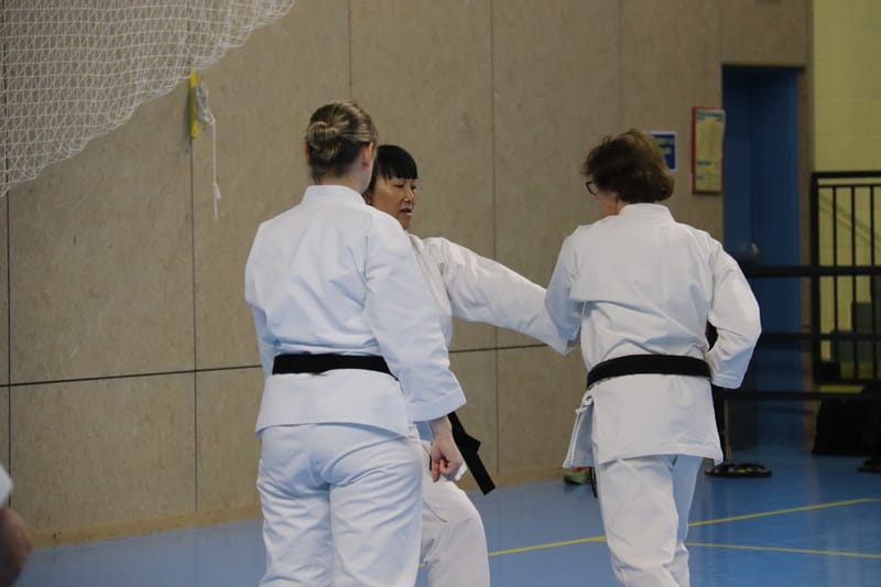 Stage Fumitoshi KANAZAWA le 13/02/2026 à la Ferté Saint Aubin