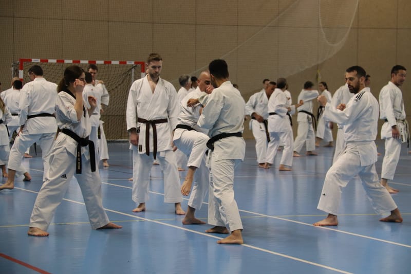 Stage Fumitoshi KANAZAWA le 13/02/2026 à la Ferté Saint Aubin