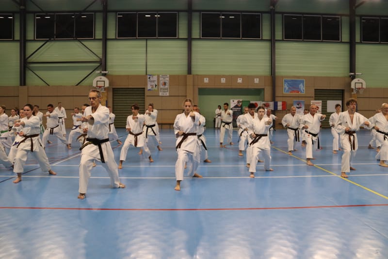 Stage Fumitoshi KANAZAWA le 13/02/2026 à la Ferté Saint Aubin