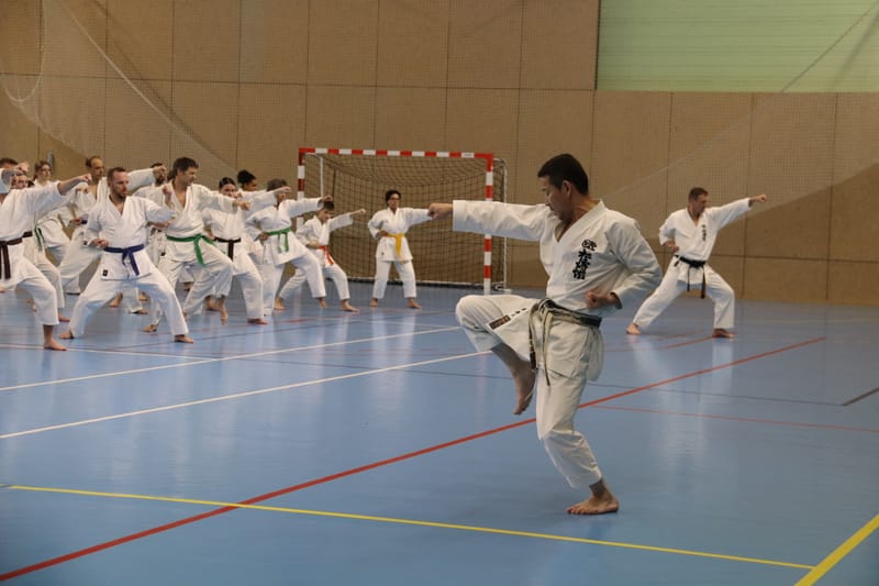 Stage Fumitoshi KANAZAWA le 13/02/2026 à la Ferté Saint Aubin