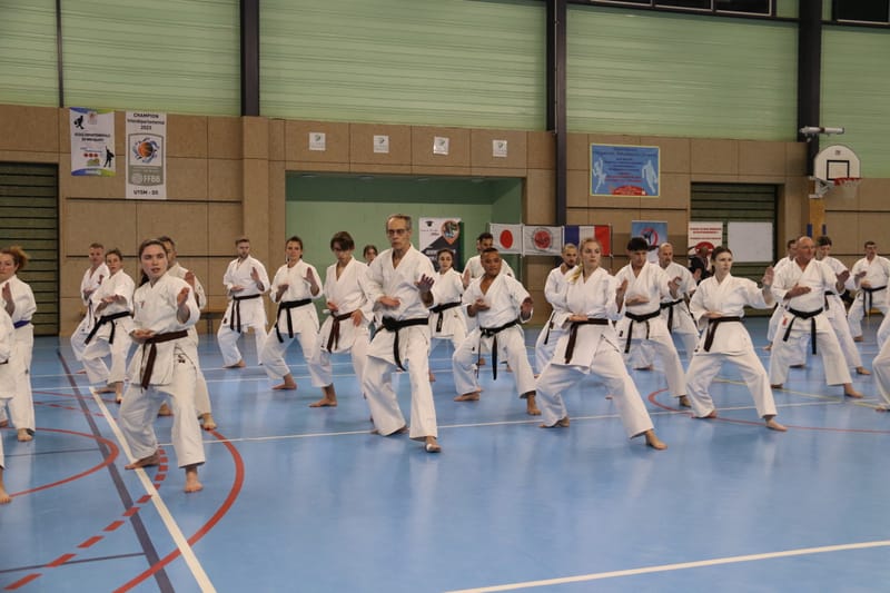 Stage Fumitoshi KANAZAWA le 13/02/2026 à la Ferté Saint Aubin