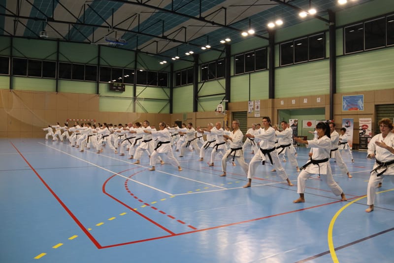 Stage Fumitoshi KANAZAWA le 13/02/2026 à la Ferté Saint Aubin