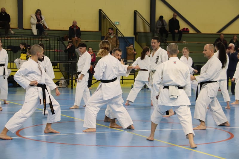 Stage Fumitoshi KANAZAWA le 13/02/2026 à la Ferté Saint Aubin