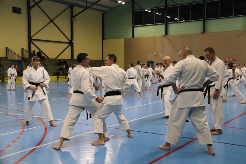 Stage Fumitoshi KANAZAWA le 13/02/2026 à la Ferté Saint Aubin