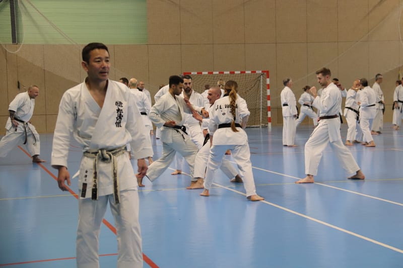 Stage Fumitoshi KANAZAWA le 13/02/2026 à la Ferté Saint Aubin