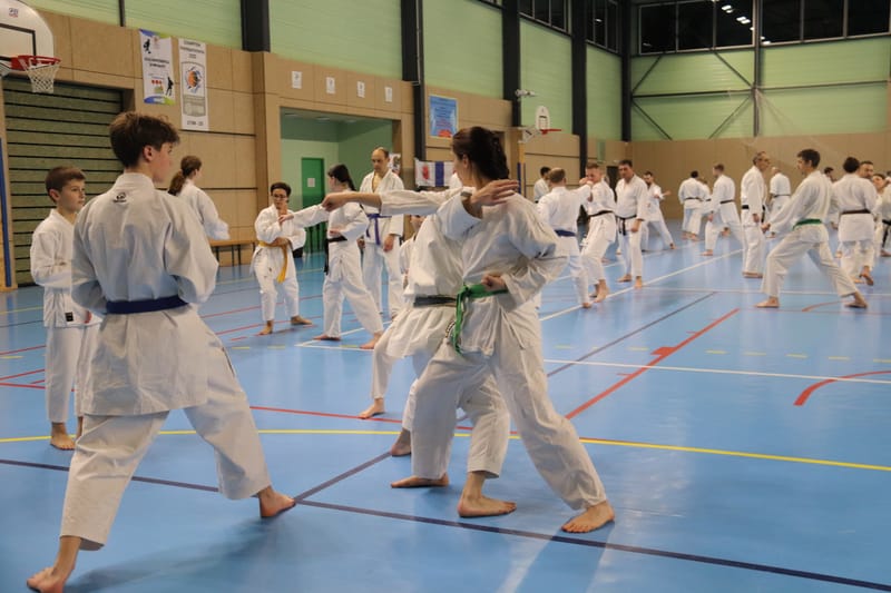 Stage Fumitoshi KANAZAWA le 13/02/2026 à la Ferté Saint Aubin