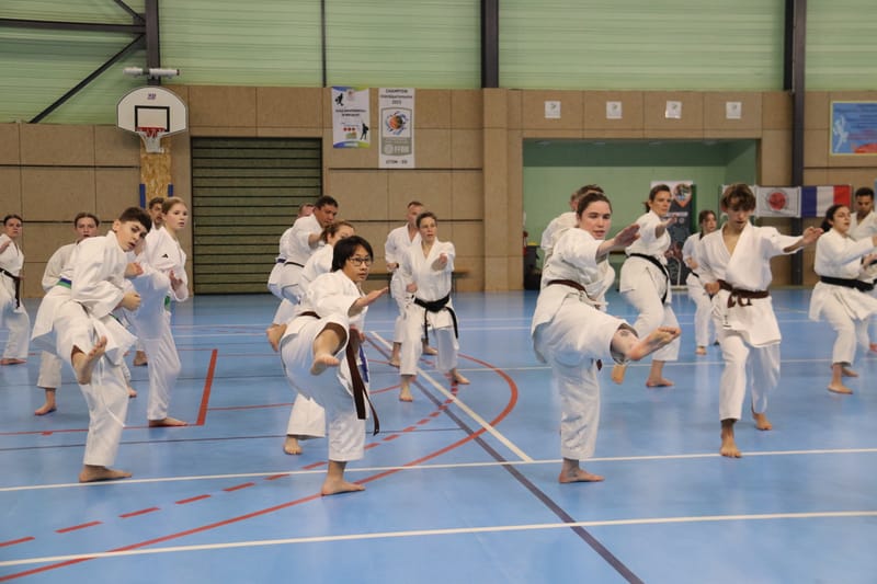 Stage Fumitoshi KANAZAWA le 13/02/2026 à la Ferté Saint Aubin