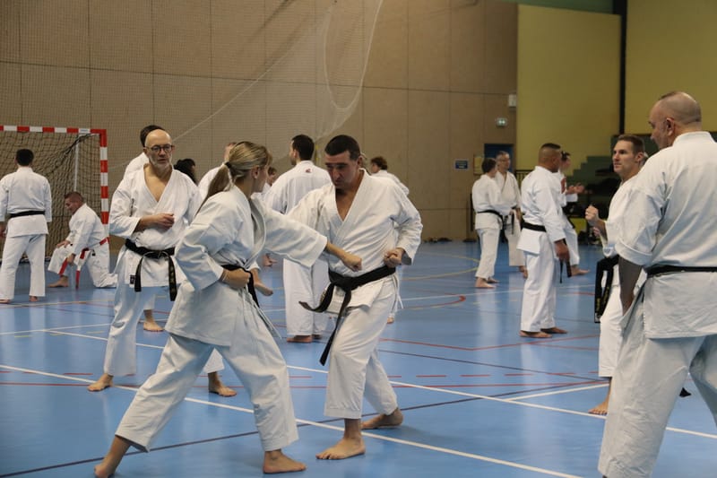 Stage Fumitoshi KANAZAWA le 13/02/2026 à la Ferté Saint Aubin