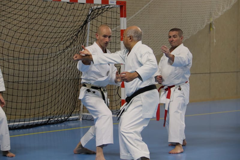 Stage Fumitoshi KANAZAWA le 13/02/2026 à la Ferté Saint Aubin