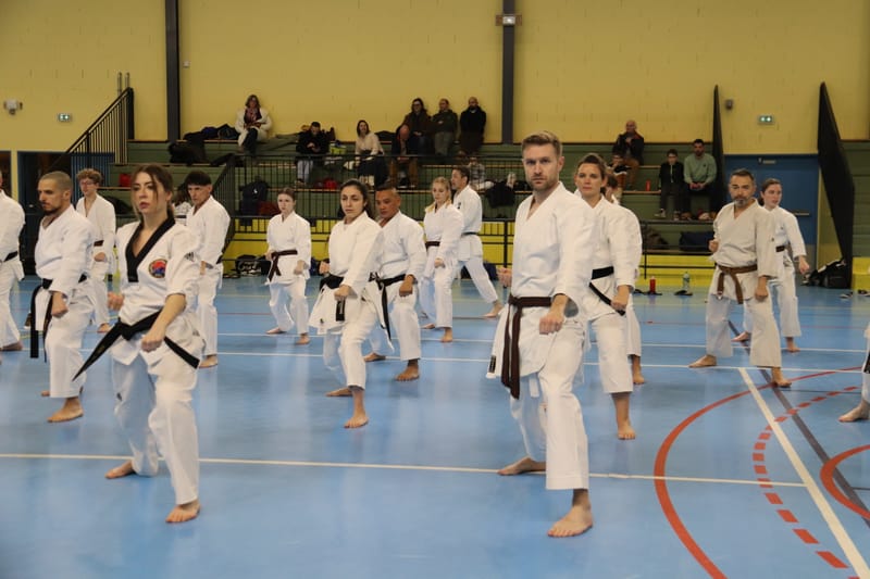 Stage Fumitoshi KANAZAWA le 13/02/2026 à la Ferté Saint Aubin