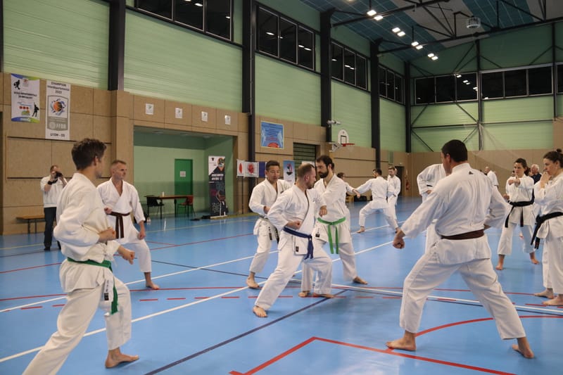 Stage Fumitoshi KANAZAWA le 13/02/2026 à la Ferté Saint Aubin